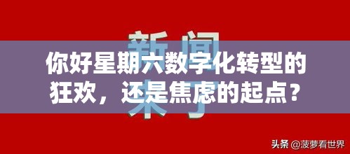 你好星期六数字化转型的狂欢，还是焦虑的起点？