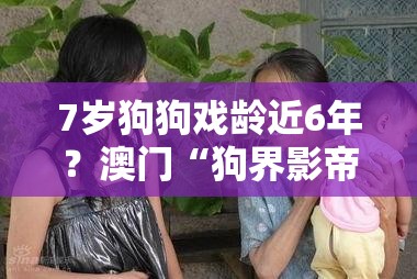 7岁狗狗戏龄近6年？澳门“狗界影帝”的逆袭之路，网友这演技绝了！