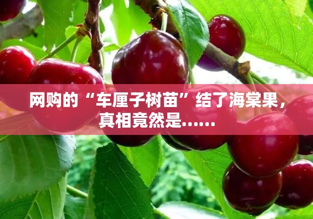 企业管理案例 第4页