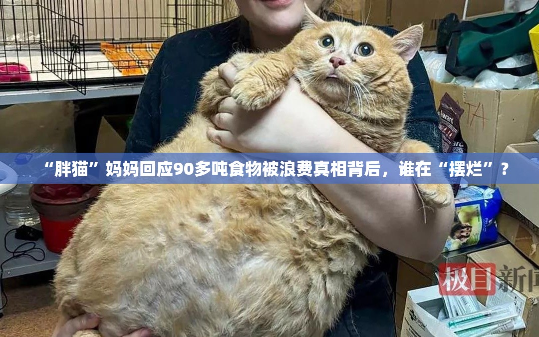 “胖猫”妈妈回应90多吨食物被浪费