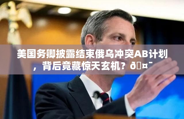 美国务卿披露结束俄乌冲突AB计划