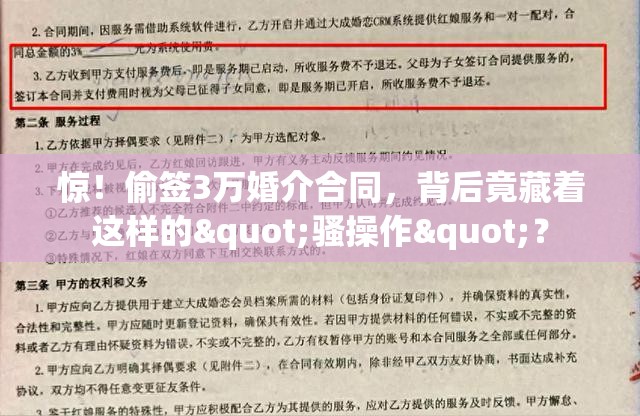 惊！偷签3万婚介合同，背后竟藏着这样的"骚操作"？