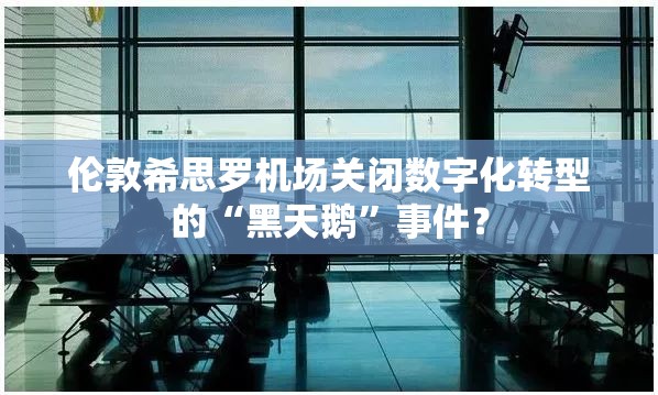 伦敦希思罗机场关闭数字化转型的“黑天鹅”事件？